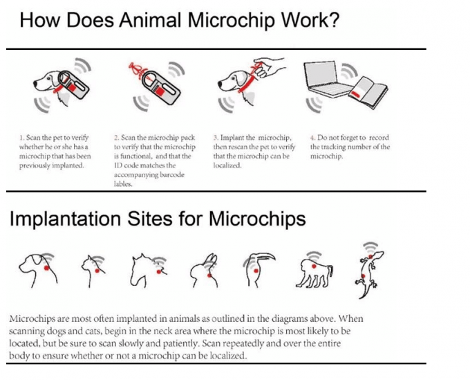 Microchip da relação do animal de estimação
