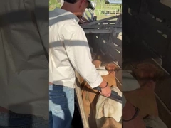 PT290 LF leitor de etiquetas de ouvido de bovinos leitor de barra RFID