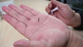 Microchip para animais de estimação de última geração com temperatura | Assista à demonstração do injetor