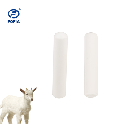 Identificação de animais Eartag Bovine Rfid Bolus Tag 134.2khz