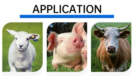 ICAR certificou etiqueta de orelha eletrônica 134,2kHz FDX-B RFID com tensão 350N para identificação de gado para rastreamento de animais