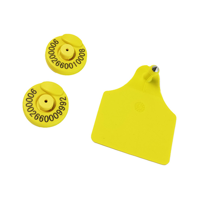 RFID Ear Tag Custom Cattle Ear Tags Simplifique o gerenciamento do seu gado com tecnologia de rastreamento RFID