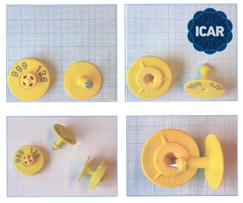 TAGS ELETRÔNICOS DE ORELHA ICAR COMPLETOS, ICAR Não Compartilhados, para Identificação Animal com Suporte para Leitor BLE