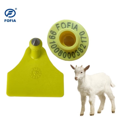 Etiquetas auriculares personalizadas para ovinos para fácil identificação e classificação do gado