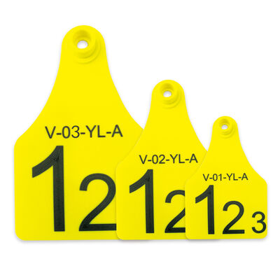 Yellow Safety Plastic TPU Pig Ear Tag Laser Engraved Numbered Identification for Animal Husbandry Livestock Management