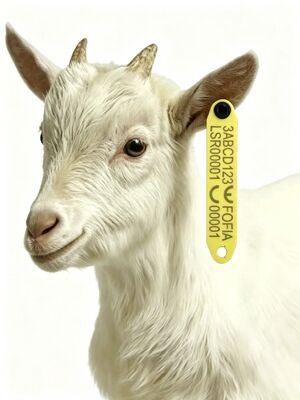RFID resistente a altas temperaturas e anti-derramamento