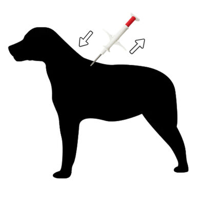 ZS007 Kit de rastreamento de identificação de animais de pequeno porte ultrapequeno e leve para identificação de animais domésticos
