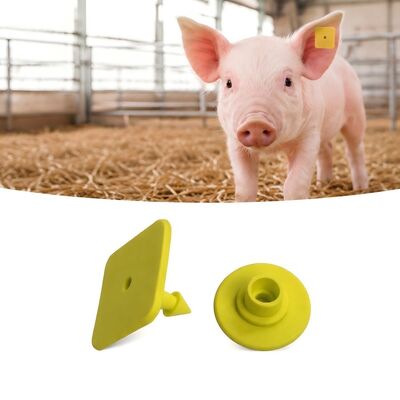 Impressão a laser de etiquetas de orelhas de porco com normas de conformidade EPC Gen2 V2 0 Ideal para rastreamento de gado e gestão agrícola