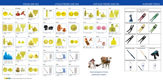 FULL ICAR TPU personalizável Blank Cow Earring Tags Animais de plástico etiqueta de orelha para ovelhas Cabras e bovinos