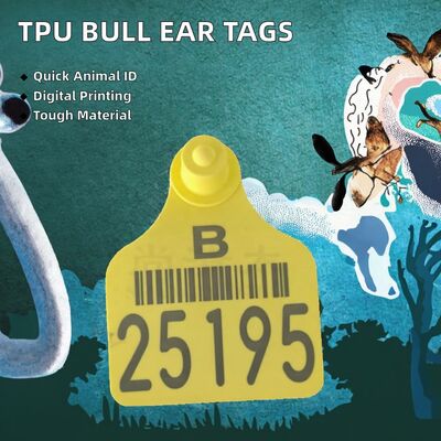 Etiquetas de orelha de ovelha de TPU personalizáveis com impressão certificadas pela ICAR