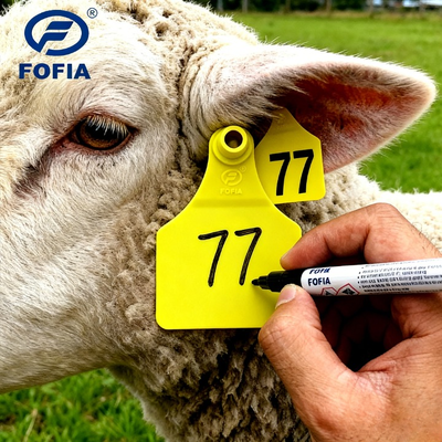 Agricultura ativa Full ICAR Compliant RFID Ear Tags TPU Para Porco Ovelhas Rapazes Búfalos Pecuária Indústria Agropecuária