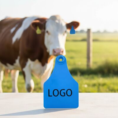 T921 animal amarelo cabra gado etiqueta de orelha RFID TPU cavalo de gado agrícola