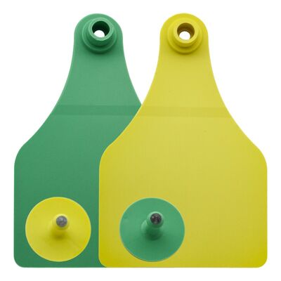 Ears Tags Bovine 3 meses Paquistão SB-7-701 ISO9001 Plástico SHANBRO Online Support Farms