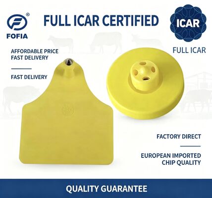 Icar completo et908 + t905 à prova d'água rfid tpu etiquetas de orelha animais amarelas FDX-B 134.2khz em4305 chips de gado