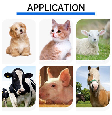 Leitor de cartão RFID de microchip de plástico animal portátil PT160 134,2 kHz OLED Screen USB Bateria de lítio CE Certificado ISO 11784/11785