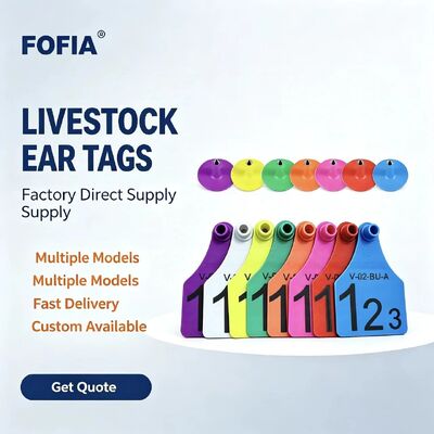Marcas de orelhas de vaca de plástico de vários tamanhos TPU Bovine Bovine Sheep Pig Farm Marcas de orelhas com número