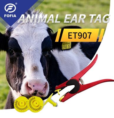 Fofia ICAR Certificados de plástico de orelhas para bovinos, porcos e cabras ISO Compliant Smart Livestock Identification