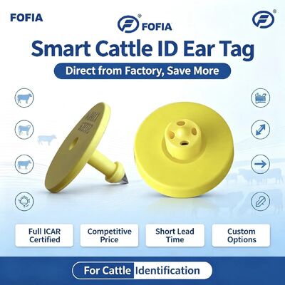 Full ICAR ET908+T901 RFID à prova d'água LF TPU amarelo etiquetas de orelhas de animais 14.5mm EM4305 chips 5 anos de garantia bovino Fofia