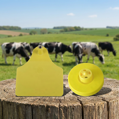 FULL ICAR Certified TPU RFID Access Card - 30mm Round ISO11784/5 Animal Ear Tag para sistemas de entrada segura