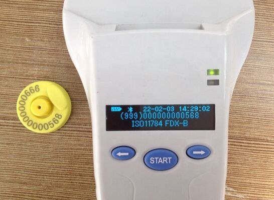 Leitor portátil FOFIA PT580 RFID durável 125kHz/134.2kHz ISO11784/5 128x32 tela OLED 10-20m Distância de leitura USB/para Pet