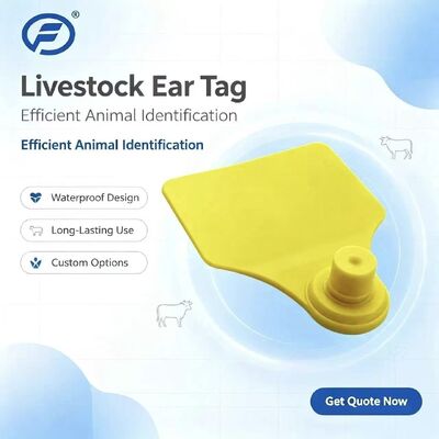ICAR Fofia T904 Chip de etiqueta de ouvido animal RFID TPU de alta qualidade 3 anos de garantia uso agrícola para rastreamento de gado