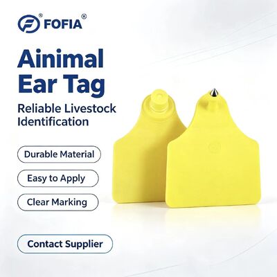 ICAR T904+T905 Combinação Animal Ear Tag Nova RFID de alta qualidade TPU 70*57mm Laser Coding 3 anos de garantia Uso agrícola para gado
