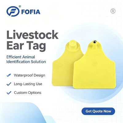 ICAR T904 + T905 Combinação de rastreamento de animais Ear Tag Novo RFID TPU plástico 70 * 57mm Laser codificação 3 anos de garantia Uso agrícola gado