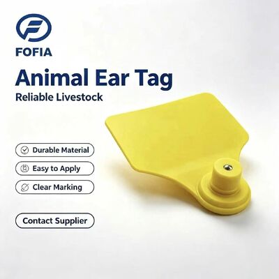 ICAR Fofia T904+T901 Animal Ear Tag Nova RFID de alta qualidade TPU 72*57mm Laser Coding 3 anos de garantia Uso em fazenda para gado