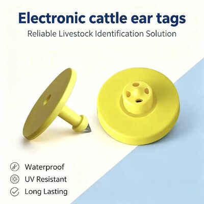 Novas Etiquetas de Orelha para Animais ICAR ET908+T901 à Prova d'Água RFID LF TPU Amarelas 14.5mm Chips EM4305 Garantia de 5 Anos Gado Fofia