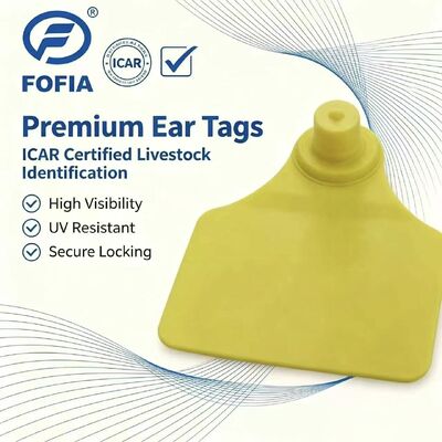 Etiqueta de Orelha Animal ICAR Fofia T904 Chip RFID TPU Codificação a Laser Nova Alta Qualidade Garantia de 3 Anos Rastreamento de Gado e Ovelhas para Uso Agrícola 0,01g