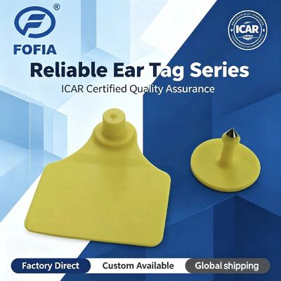 ICAR à prova d'água Fofia T904+T901 Animal Ear Tag Nova RFID de alta qualidade TPU 72*57mm Laser Coding 3 anos de garantia para uso na fazenda