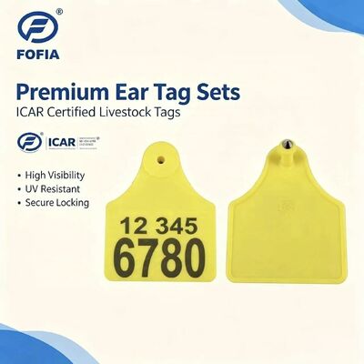 ICAR T904+T905 Combinação Animal Tracking Ear Tag Nova alta qualidade RFID plástico TPU 70 * 57mm laser codificação 3 anos de garantia Farm