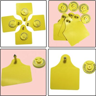 ICAR T904+T905 Combinação Animal Tracking Ear Tag Nova alta qualidade RFID plástico TPU 70 * 57mm laser codificação 3 anos de garantia Farm