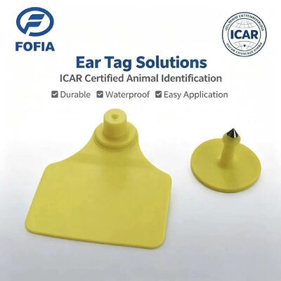Resistente à água ICAR Fofia T904 + T901 Chip de etiqueta de ouvido de animais RFID TPU Laser Coding 3 anos de garantia rastreamento de gado