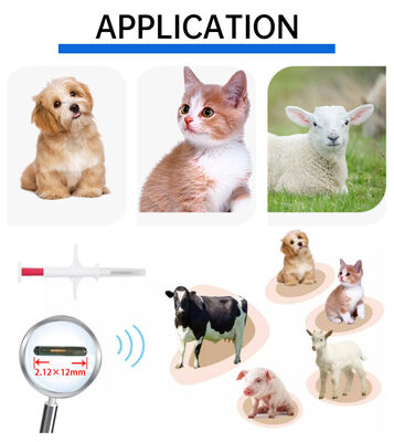 Etiqueta de orelha de injeção para animais de estimação Fofia RFID 134.2kHz de material PP à prova d'água, nova venda quente, uso em fazenda, microchip de identificação de cachorro, 1,5 ano