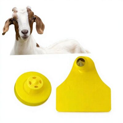 Etiqueta Eletrônica Durável à Prova d'Água para Rastreamento de Animais Caprinos e Ovinos RFID TPU Codificação a Laser Nova Alta Qualidade Garantia de 3 Anos Modelo