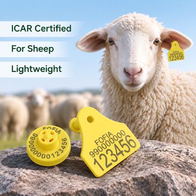 Etiqueta Eletrônica RFID TPU Plástico Codificação a Laser para Ovelhas e Cabras ICAR Completa Fofia Garantia de 3 anos