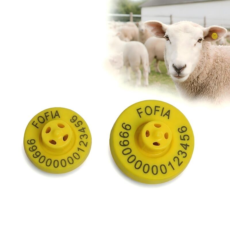 Marcas de ouvido amarelo certificadas pela ICAR para identificação e gestão de cabras
