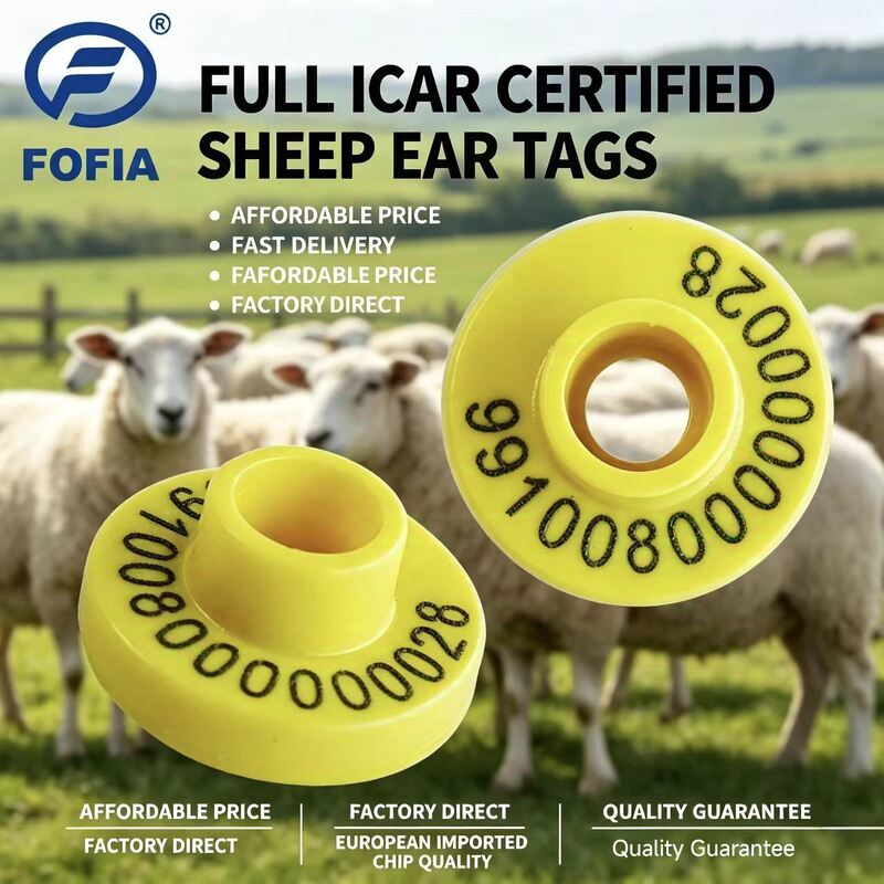 Etiquetas auriculares flexíveis para ovelhas, fáceis de aplicar e remover, adequadas para várias raças e tamanhos de ovelhas em ambientes agrícolas