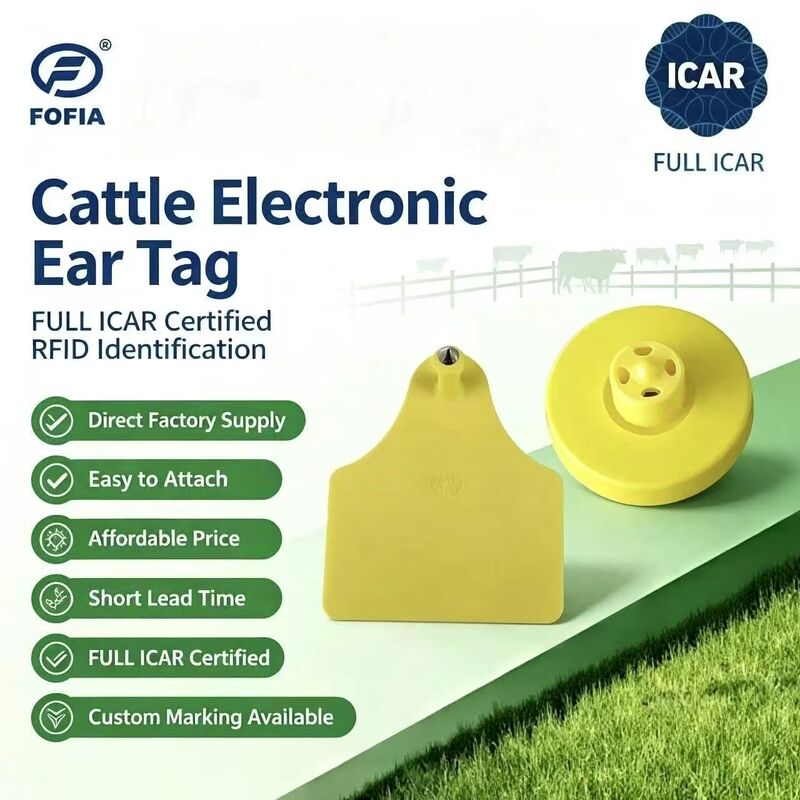 FOFIA Novo Full ICAR Durável RFID à prova d'água TPU amarelo etiquetas de orelhas de animais ET908+T905 EM4305 Chips 5 anos de garantia Bovine 14,5mm