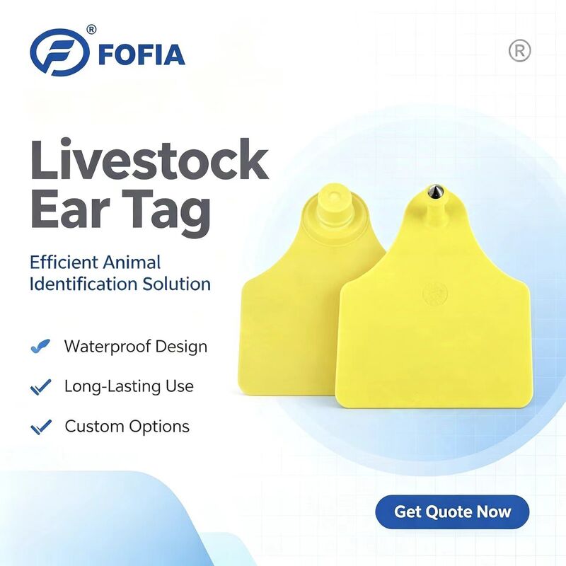 ICAR T904 + T905 Combinação de rastreamento de animais Ear Tag Novo RFID TPU plástico 70 * 57mm Laser codificação 3 anos de garantia Uso agrícola gado