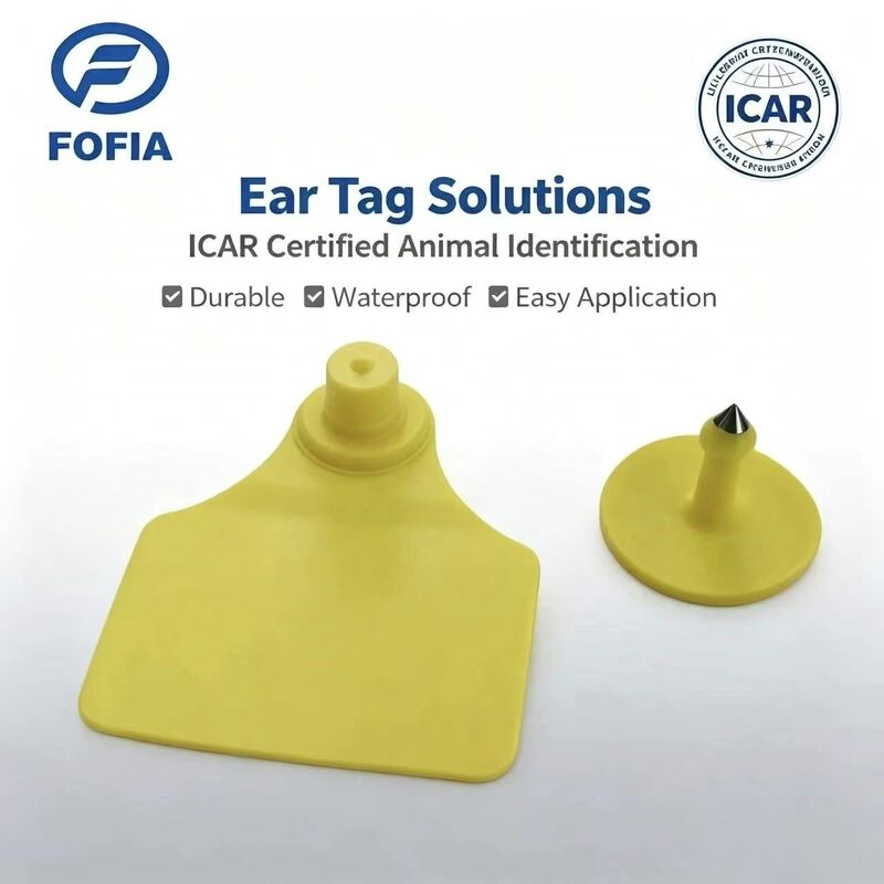 Resistente à água ICAR Fofia T904 + T901 Chip de etiqueta de ouvido de animais RFID TPU Laser Coding 3 anos de garantia rastreamento de gado