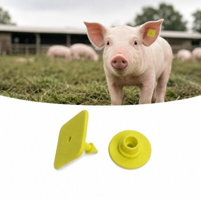 Etiqueta eletrônica de orelha animal UHF TPU leve 3,2 gramas Etiquetas de identificação para rastreamento preciso de gado e coleta de dados